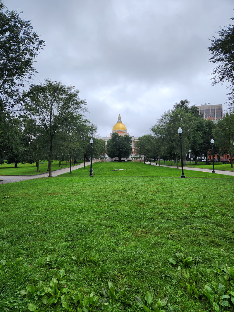 Boston Common with the State Capital in the background